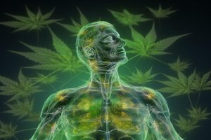 CBD при болка
